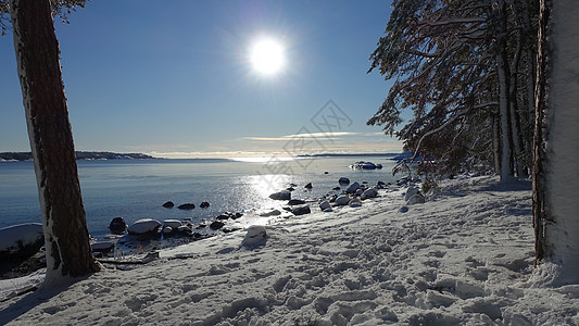 冬天清晨 阳光照在雪湾上 太阳 云 美丽的图片