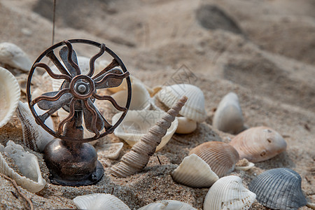 古董黄铜电扇和沙滩上的贝壳图片