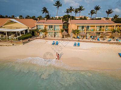 阿鲁巴加勒比海滩上有棕榈树 假期 支撑 海岸 海洋图片
