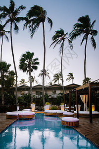 阿鲁巴加勒比哈默克海滩 有棕榈树和豪华游泳池 海岸 假期图片