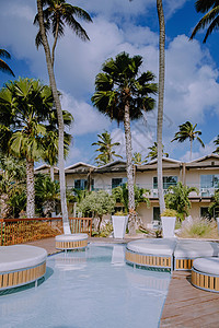 阿鲁巴加勒比哈默克海滩 有棕榈树和豪华游泳池 旅游 美丽的图片