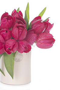 浅色背景上的一束粉红色郁金香 植物 花 芽图片