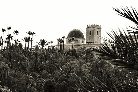 圣玛利亚教堂被Elche棕榈林包围 西班牙 圆顶图片