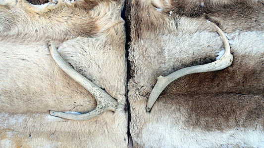 瑞典 2020年2月27日 冰饭店门上盖有皮革和驯鹿角 旅行 北极图片
