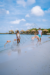 阿鲁巴岛海滩 海滩上有粉红色的火烈鸟 加勒比海阿鲁巴岛海滩上有火烈鸟 女士 旅行图片
