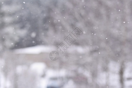 降雪 美丽的冬天背景季节性自然和冬天的天气 雪花飘落的冬季景观 假期 薄片图片