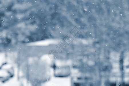 降雪 美丽的冬天背景季节性自然和冬天的天气 雪花飘落的冬季景观 暴风雪 绿松石图片