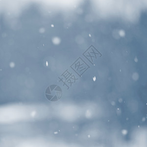 降雪 美丽的冬天背景季节性自然和冬天的天气 雪花飘落的冬季景观 冻结 绿松石图片