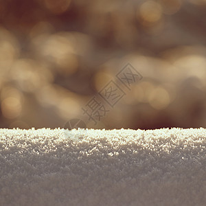 与真正的雪的美好的干净的冬天背景 森林 快乐的图片