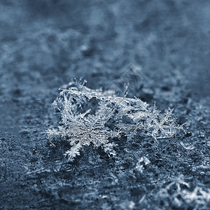 真正的雪花 冬天冻雪的美丽宏观照片 降雪 气候图片