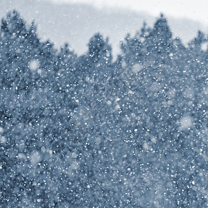 降雪 美丽的冬天背景季节性自然和冬天的天气 雪花飘落的冬季景观 圣诞节 冰图片