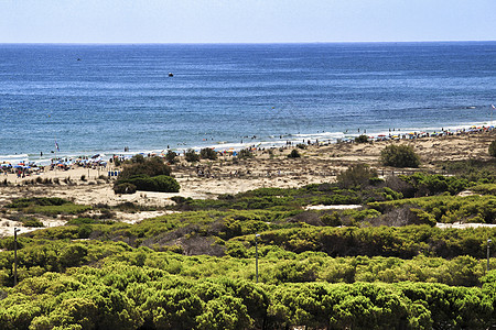 阿利坎特海岸的卡拉巴西海滩 支撑 植物 地平线 夏天图片