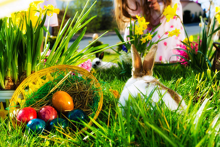 复活节兔子在草地上 带篮子和鸡蛋 兄弟姐妹 春天图片