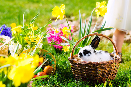 复活节兔子在草地上 带篮子和鸡蛋 女孩们 春天背景图片