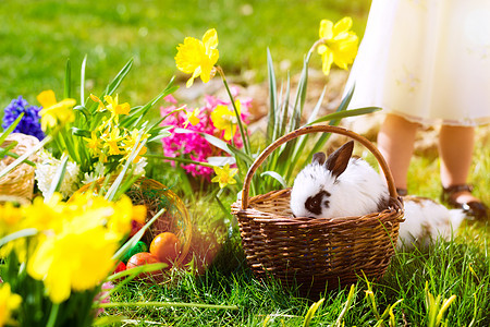复活节兔子在草地上 带篮子和鸡蛋 孩子 风信子图片