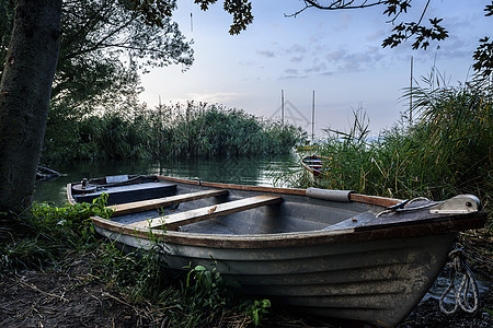 湖上的一艘船停在一棵树附近 一艘脏船停在安静湖上的木码头旁图片