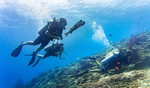 一群游客在珊瑚礁下潜潜水 并随同一群游艇潜水图片