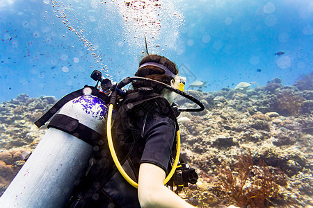 在珊瑚礁潜水和观赏绿海龟的旅游者 潜水员 水肺潜水图片