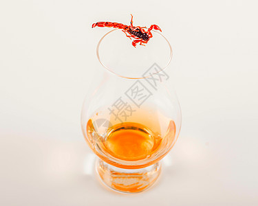 带有蝎子的单一麦芽威士忌 玻璃杯中的单一麦芽威士忌 黑色背景 快乐的 威士忌酒图片