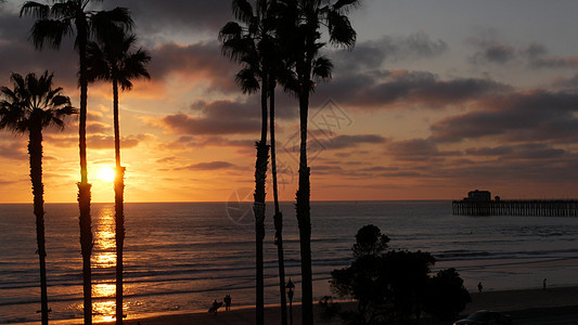 美国加利福尼亚州的棕榈树和黄昏天空 热带海洋海滩日落大气层 洛杉矶的风景 周末 晚上图片