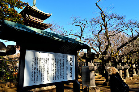 西方女孩阅读Ueno公园Kaneiji塔的旅游信息图片