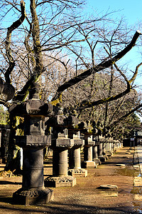 上野公园经典日本石器灯笼的景象图片