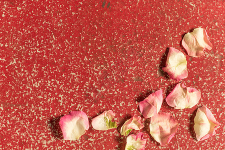 红混凝土楼层有复制空间的玫瑰花瓣 浪漫的背景图片