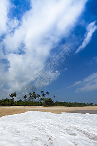 斯里兰卡 热带海滩的美丽景色斯里兰卡 太阳背景图片