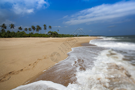 斯里兰卡 热带海滩的美丽景色斯里兰卡 海景图片