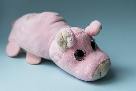 蓝色背景的Plush玩具粉色猪 室内 日光前视线图片