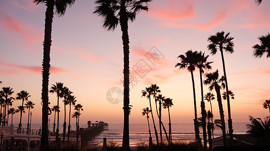 美国加利福尼亚州的棕榈树和黄昏天空 热带海洋海滩日落大气层 洛杉矶的风景 气氛 假期图片