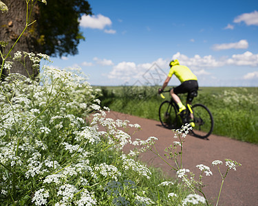 骑自行车的男子在蓝色夏日天空下 在乡间公路上通过白色夏季鲜花 闲暇 自然图片