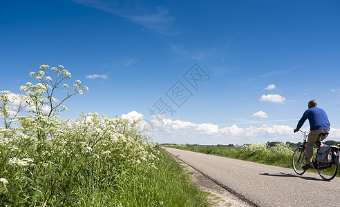 骑自行车的男子在蓝色夏日天空下 在乡间公路上通过白色夏季鲜花 旅游 运动图片