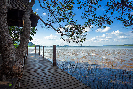 森林红树林和海洋的木桥 泰国昌塔胡里地平线 假期 国家的图片