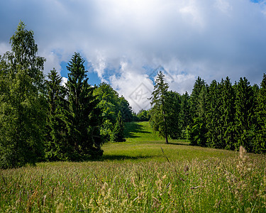 奥地利阿尔卑斯山的春草地景图片