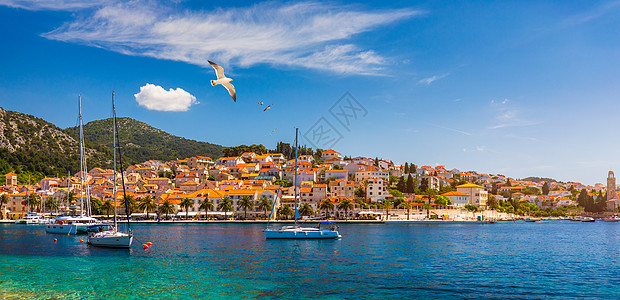 赫瓦尔镇 海鸥飞越城市 克罗地亚著名的豪华旅游目的地 赫瓦尔岛上的船只 是克罗地亚达尔马提亚海岸杜布罗夫尼克和科尔丘拉附近的众多图片