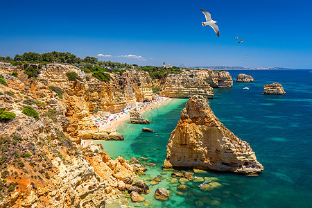 葡萄牙阿尔加维美丽的海滩 Marinha 海军海滩 海鸥飞过海滩 位于阿尔加维拉戈阿市的大西洋沿岸 海岸线 海滨图片