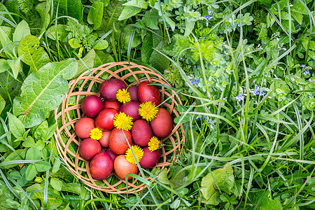 草地上的红色复活节彩蛋 上面有鲜花和吹球 自然色的复活节彩蛋 上面有洋葱壳 复活节快乐 基督教宗教节日 春天 四月图片