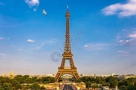 埃菲尔铁塔在夏天与飞鸟 巴黎 法国 蓝天下的埃菲尔铁塔风景全景 在美丽的夏日 法国巴黎埃菲尔铁塔的景色 法国巴黎图片
