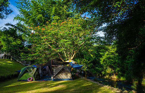 在溪流附近的自然公园内露营和帐篷图片