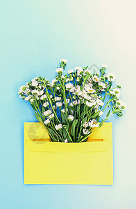 浅蓝色背景上带有小花园白色洋甘菊花的黄色纸信封 节日花卉模板 贺卡设计 顶视图 生日 婚礼图片
