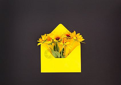 黄纸信封 有深底背景的黑眼苏珊花朵 花粉模板 贺卡设计图案 顶端视图图片