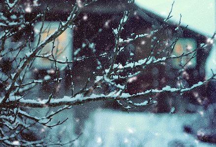 圣诞灯笼 点燃蜡烛 冷杉 雪 华丽的 冰冷的 户外背景图片