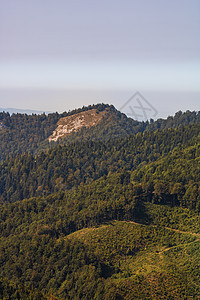 绿色山区森林景观 罗马尼亚比霍尔高山草原的美丽自然 有高山草原 美丽的 旅游图片