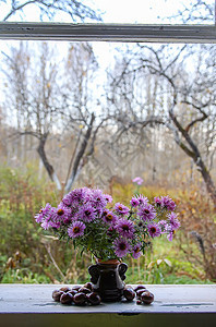 装饰观赏植物 秋天的花束 美丽的紫色紫苑在旧农村房子的木制窗台上的陶瓷花瓶中 生活 家图片