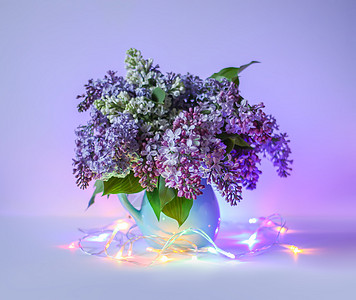 蓝陶瓷花瓶中的香紫花束很漂亮 在浅底的Syringa粗俗或乳房工厂 亚洲 闻图片