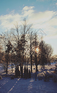 冬季风景 山 安静 寒冷的 公园 森林 冰冷的 季节图片
