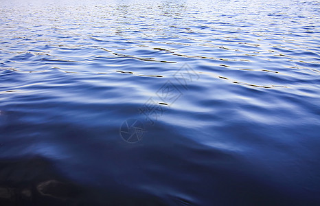 拉托维亚 拉特加莱 东欧湖景景观风景 夏季自然 郊游 生态图片