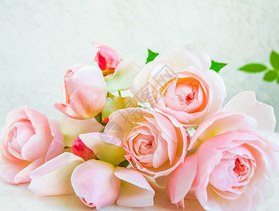 粉红玫瑰在白色背景中被孤立 适合背景贺卡和邀请的婚礼 生日 情人节 母亲节等活动 请柬 周年纪念日 浪漫图片