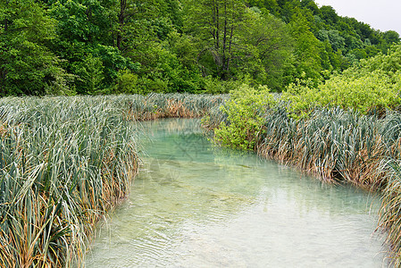 克罗地亚普利维茨湖泊国家公园湖景色极佳 春天图片